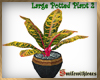 Large Potted Plant 2