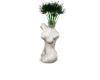 Body Vase Plant