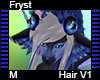 Fryst hair M V1