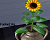 Sunflower Jar 2
