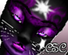 {CSC} Purple Star Furry