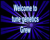 tune genetics Grew  club