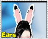 [JK]!!!Bunny!!!Ears