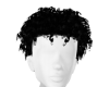 Mel Male CURLS Fro