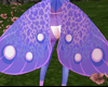 Flutter Wings V2