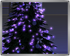 *Aurora Christmas Tree*