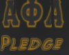 APA EB Pledge Hoodie