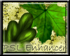 PSL Leaf Enhancer