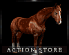 `Animated Horse