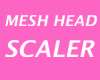 Nama Mesh Head Scaler