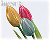 spring tulips unisex