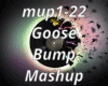 GooseBump Mash Up