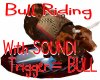 Anim BullRide/SOUND!