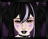 \/ Sun Wisteria