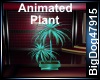 [BD] Amnimated plant