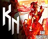 NIRV1/14 Nirvana Remix