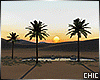  Desert Oasis Sunset