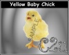 C2u Yellow Chick Stkr