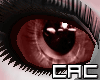 [C.A.C] Cocatoo P Eye F