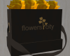 Yellow Box Roses