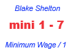 Blake Shelton / Minimum