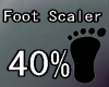 Foot Scaler 40%