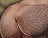 Muscle & Body Hair