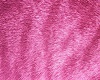 Pink  Tail