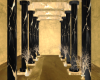 iva black&gold temple