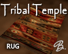 *B* Tribal Rug/Blanket