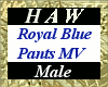 Royal Blue Pants MV