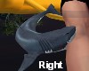 Baby Shark Leg Bite RT
