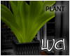 [LyL]Audacity Plant