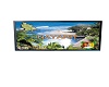 Wall animated Nayarit