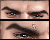 s. Eyebrows Arc