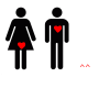 Male/female hearts.