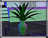 Ambient Room Plant Refl