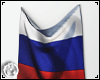 RUSSIAN FLAG WALL