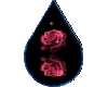 Teardrop Rose