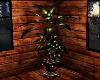 (WLC) Potted Plant