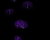 Magic Animated Jellyfish