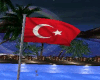 Turk Bayragi Hareketli