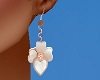 Shelled Pearl Earrings
