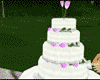 Pose Wedding Cake Pink