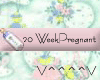 20 Weeks Pregnant (P)