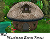 Mushroom Secret Forest