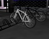 Y*Rack + 2 Bike