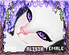 ⟡ Katt Head NL