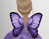 Purple ButterFly Wings