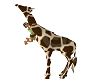 [sd] Safari Giraffe